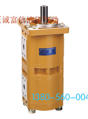 合肥长源液压 齿轮泵 CBQLCH-F536/F536-CFHL 一进两出  油口