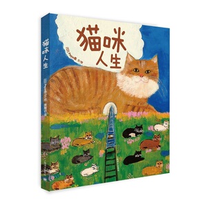 猫咪人生