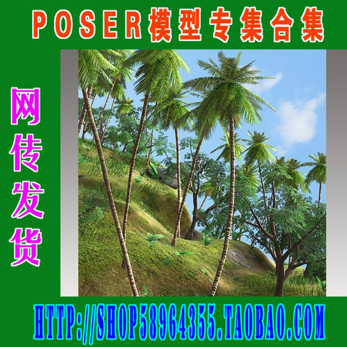Poser模型场景——热带风光 RM_tropical集(3M-132)