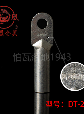 正品凤凰 镀锡堵油式铜接头 DT-240MM2铜鼻子接线端子 B级 一只价