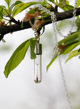 速卖热销许愿瓶吊坠欧美创意蒲公英种子项链男士马鞭链卡哇伊