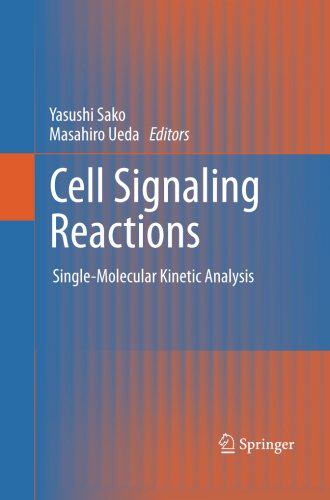 美国库房发货,通常付款后5-8周到货！