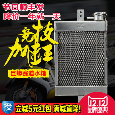 巨蟒摩托车水箱 改装水冷散热器水泵水管水温表风扇福喜鬼火劲战