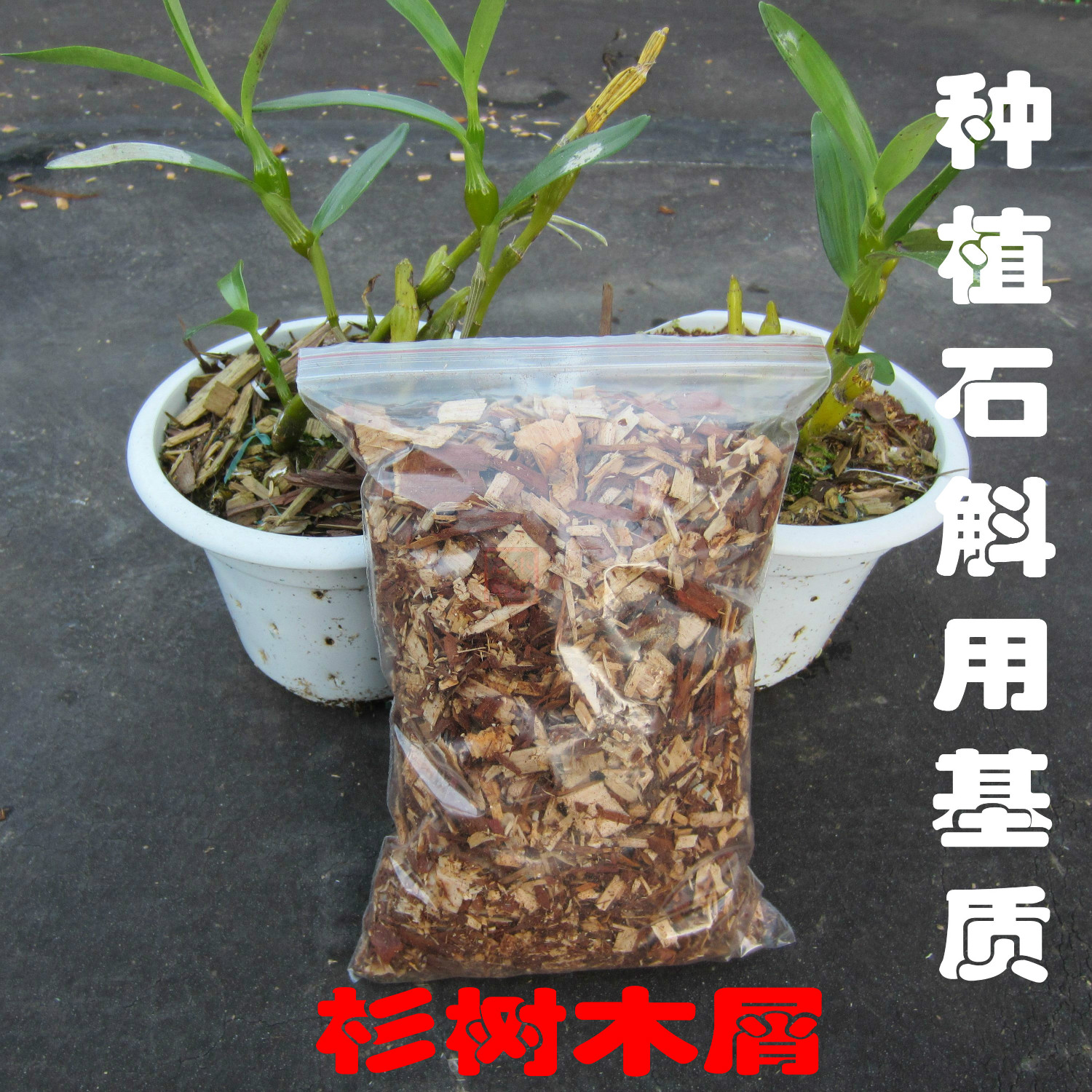 杉树木屑 铁皮紫皮铜皮金钗重唇鼓槌各种石斛 兰草种植专用基质 鲜花速递/花卉仿真/绿植园艺 介质/营养土 原图主图