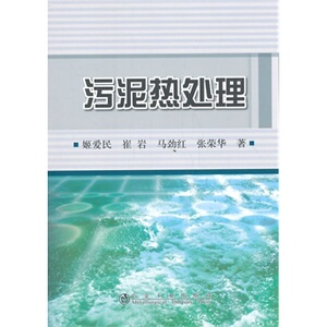 污泥热处理  姬爱民 崔岩 马劲红 张荣华