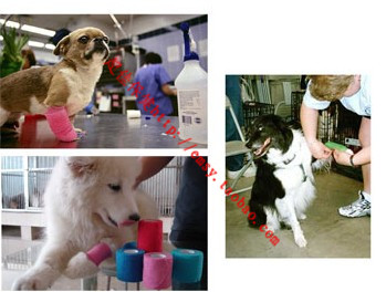 Protection sport - Ref 586997 Image 1