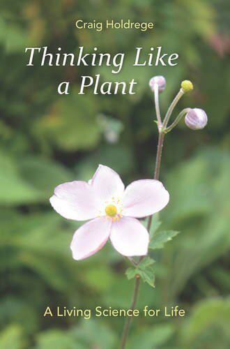 【预售】Thinking Like a Plant: A Living Science for Life