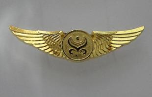 海南航空 胸章 帽徽 空姐帽徽章 机师帽徵收藏