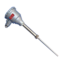 WREK2-240 防爆铠装热电偶 E双支  螺纹M27*2 dIIBT4 隔爆接线盒