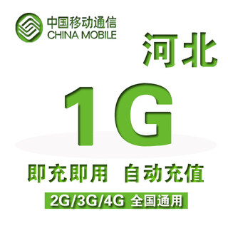 河北移动流量日包1GB全国2G/3G/4G通用流量包加油包24小时有效