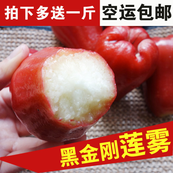 泰国进口 海圃 黑金刚莲雾 一级大果 3斤再送1斤 ￥65包邮