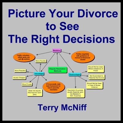 【预售】Picture Your Divorce to See the Right Decisions
