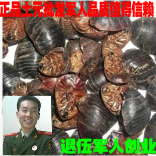 土鳖虫 地鳖虫 土元 500克 地鳖 默认发虫也 可免费打土元粉