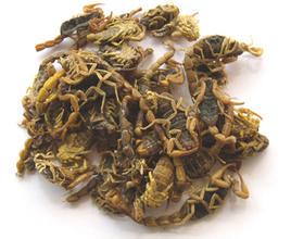 蝎子全蝎全虫盐水货非清水全干精选全蝎500克包邮中药材打粉