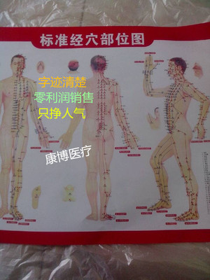 零利润销售 人体穴位图人体经络图挂图穴位挂图 标准经穴部位图
