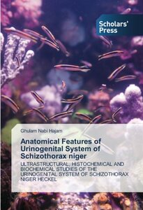 【预售】Anatomical Features of Urinogenital ...