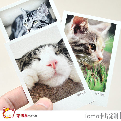 lomo卡片定制diy照片心意卡/钱包照定做LOMO卡小清新制作/包邮
