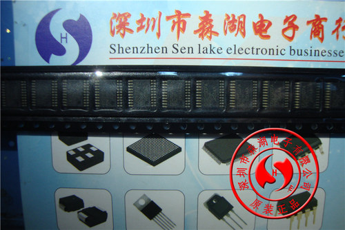 DS21S07AE DS21S07A TSSOP-20 原装正品