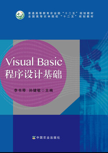 中国农业出版 李书琴 社官方正版 Basic****设计基础 孙健敏 Visual