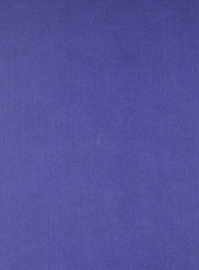 【预订】Presenting Your Research