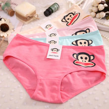 Slip jeunesse en coton - Ref 646497 Image 1