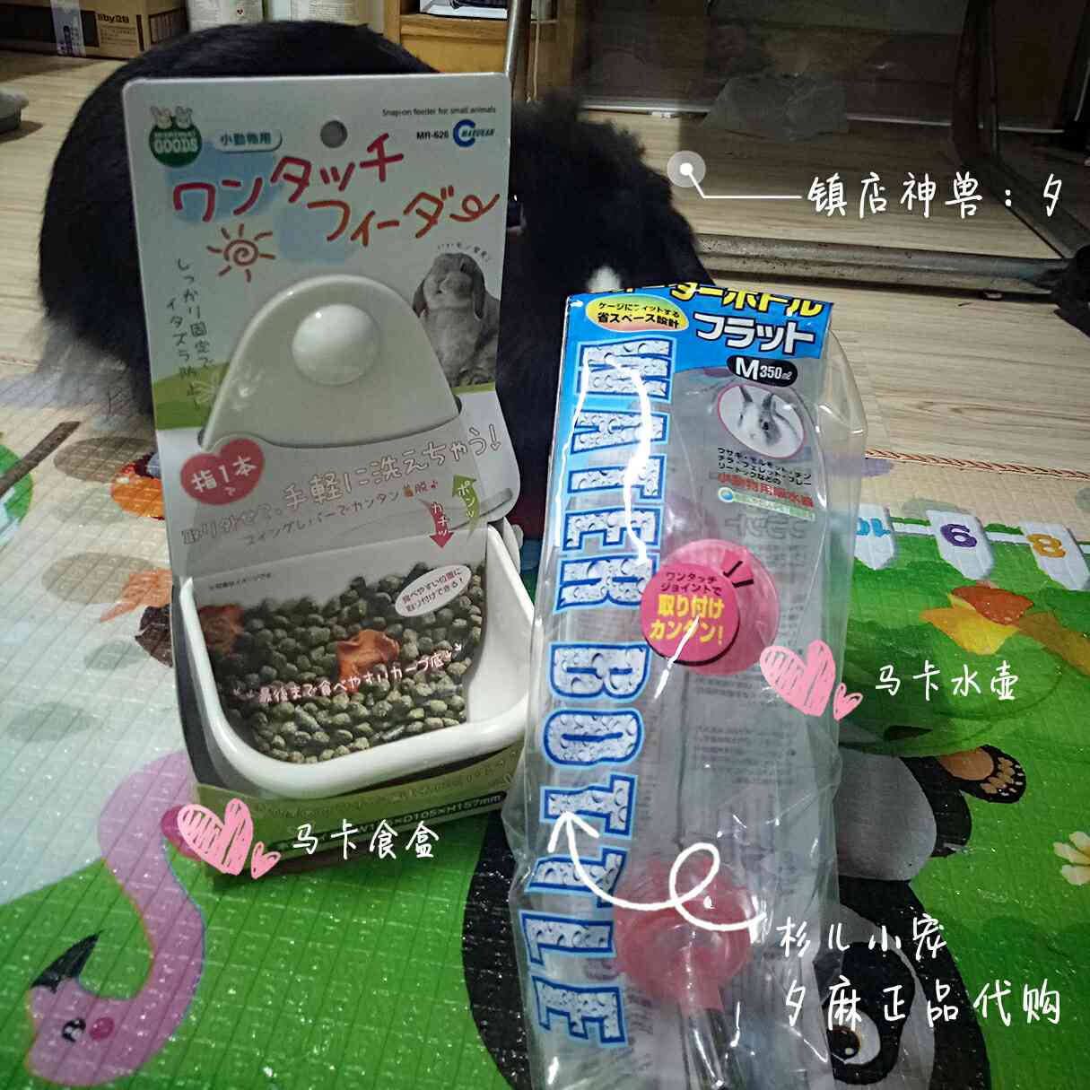日本马卡兔子龙猫荷兰猪豚鼠饮水器食盒宠物滚珠水壶350ML