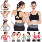 Coques pour soutien-gorge CANVAUS - Ref 822221 Image 151