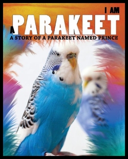 Prin Named Story Parakeet 预售