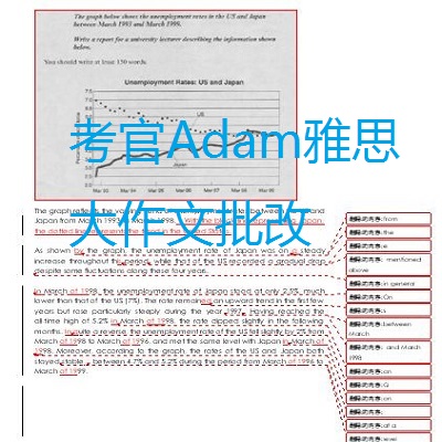 前雅思考官Adam老师作文批改国外考试英语