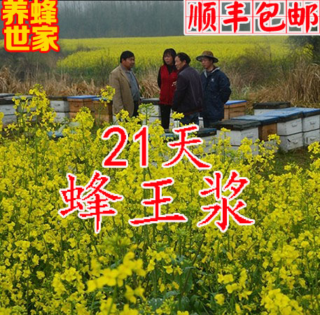 新鲜原春浆油菜浆原浆蜂乳蜂皇浆农家生态蜂王浆纯正天然包邮