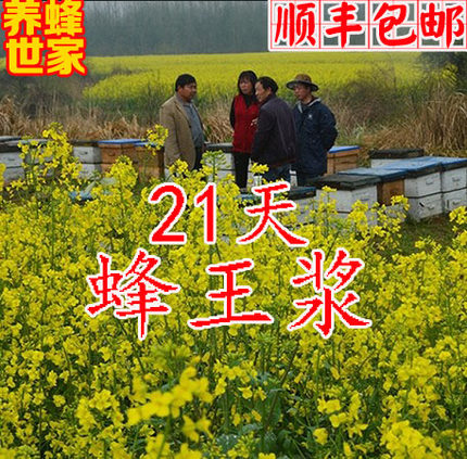新鲜原春浆油菜浆原浆蜂乳蜂皇浆农家生态蜂王浆纯正天然包邮