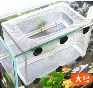 小号细网繁殖隔离盒箱斗鱼病鱼幼鱼罗汉鱼苗隔离盒鱼缸水族