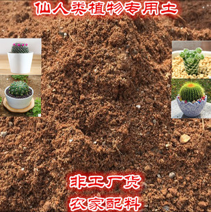 仙人球营养土 花卉土壤 仙人掌类土壤 营养土