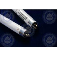 德国Korallen-Zucht KZ T5 Superblue 80W 146cm  蓝管