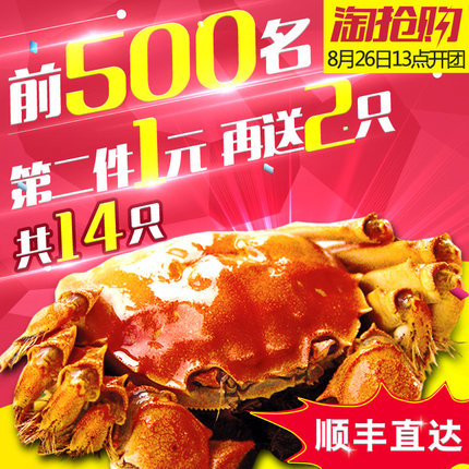 【第2份1元 再送2只】现货大闸蟹鲜活螃蟹虾兵蟹将品牌 6只装