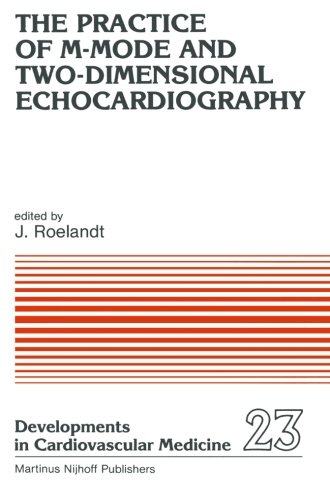 美国库房发货,通常付款后5-8周到货！
