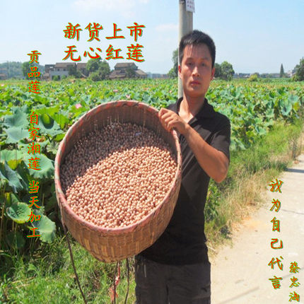 2025年新莲湖南特产湘潭粉糯易煮无硫去心无芯红莲子干货500g包邮