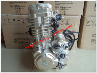 五星原厂装 雷沃LV150FT175ZH200水冷发动机总成机头 车动力