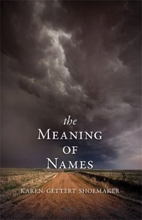 【预售】The Meaning of Names