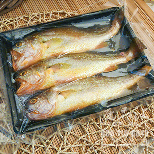 东海黄花鱼新鲜 小黄鱼海鲜水产 冷冻生鲜 深海鱼当天捕捞500g