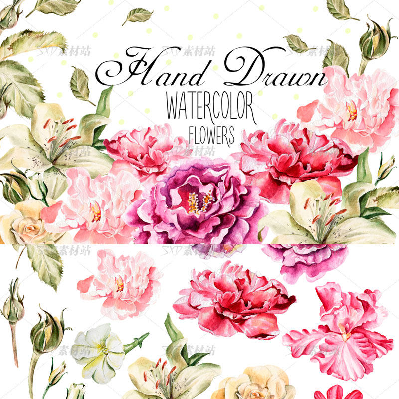 手绘水彩牡丹花叶子装饰背景图案png/矢量图ai格式 矢量设计素材