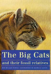 Big Cats and Fossil The Their Relati... 预售