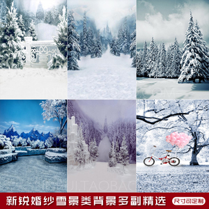 新款婚纱雪景主题摄影背景布影棚写真儿童拍照数码背景纸2021