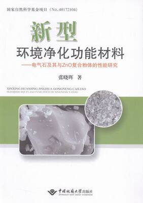 新型环境净化功能材料-电气石及其与ZnO复合粉体的性能研究 书店 张晓晖 安全科学书籍 书 畅想畅销书