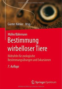 【预订】Muller/Bahrmann Bestimmung Wirbellos...