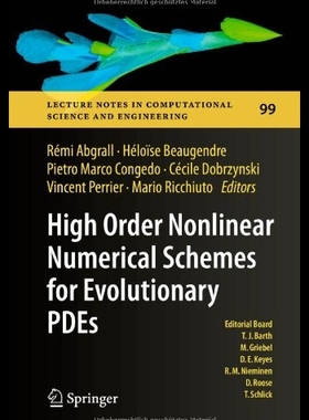 【预售】High Order Nonlinear Numerical Schemes