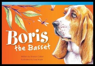 the Boris Basset 预售