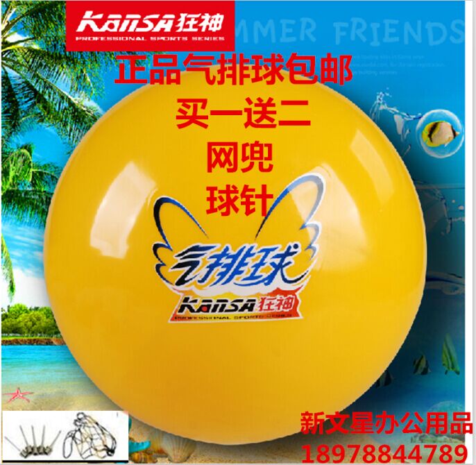 Ballon de volley - Ref 2012061 Image 1