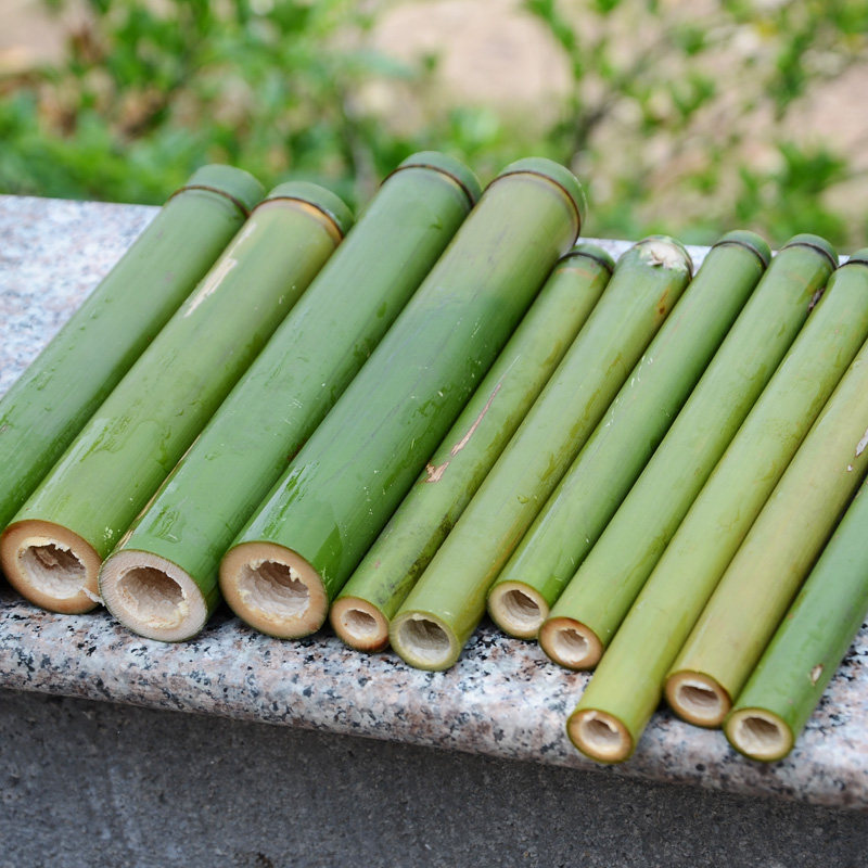 野生苦竹新鲜小竹子 竹流水器配件 竹子手柄圆直