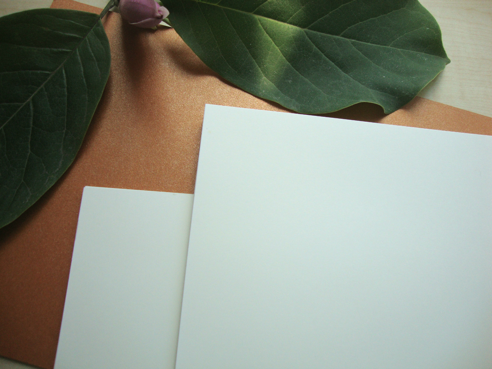 아트지 도매 : 아이보리 판지 풀 오픈 아이보리 카드 축하 카드 용지 친환경 컬러 카드 특수 용지